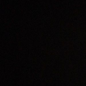 Meet your Posher, Riley